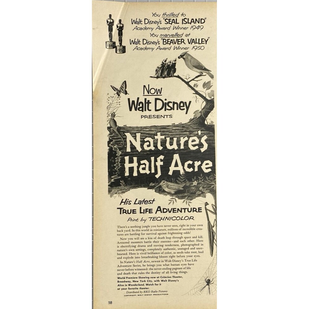RKO Pictures Walt Disney's "Nature's Half Acre" Vintage Print Ad 1951 FLAW